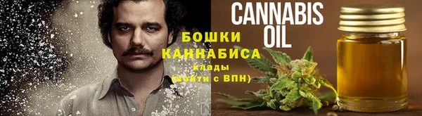 первитин Богородицк