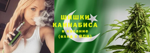 ПСИЛОЦИБИНОВЫЕ ГРИБЫ Белоозёрский
